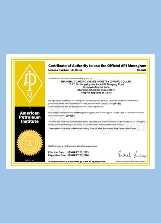 API 6D