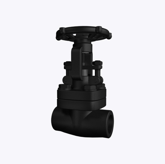 Forged Steel Gate Valve