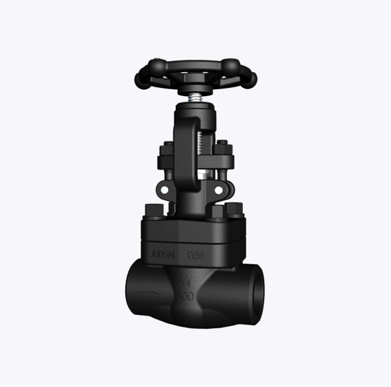 Forged Steel Globe Valve