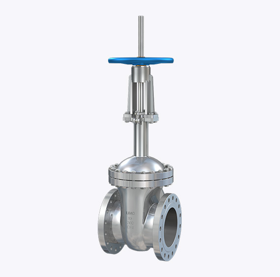 ANSI Globe Valve