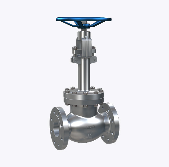 Cryogenic Globe Valve
