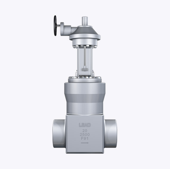 Power Station Gate Valve