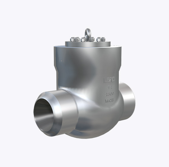 Pressure Seal Check Valve